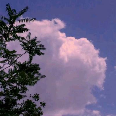 疯神榜果盘手游下载